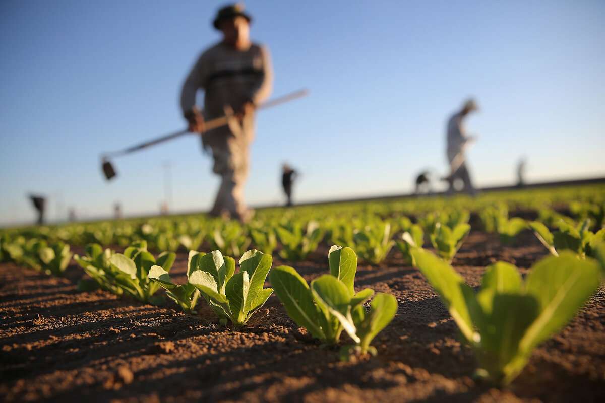 În Republica Moldova vor fi create camere agricole