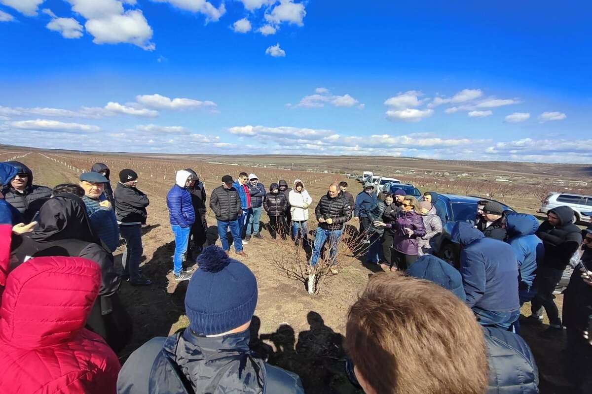 Producerea piersicilor și nectarinelor: Horticultorii, instruiți de experți spanioli