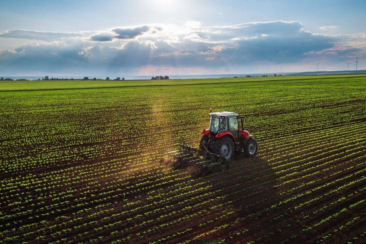 Fermierii, împotriva camerelor agricole: Încalcă dreptul la libera asociere