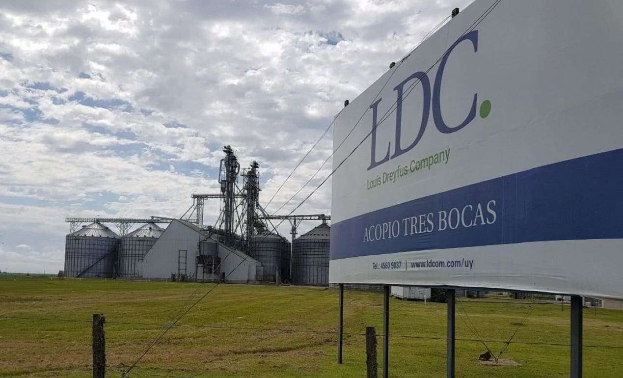 Louis Dreyfus Co.: Прибыль гиганта с/х рынка снова превысила $1 млрд