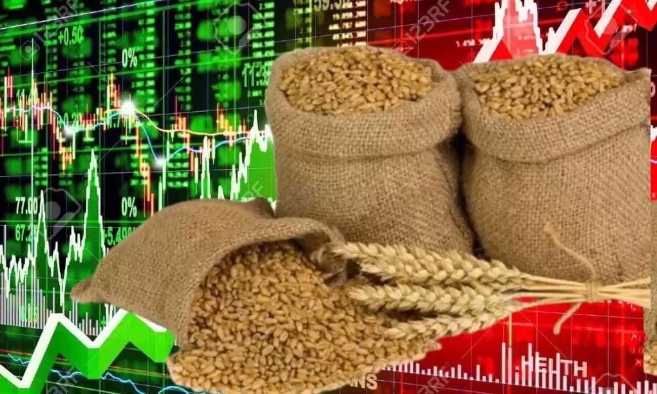 Создание зерновой биржи БРИКС может серьезно повлияет на мировой рынок