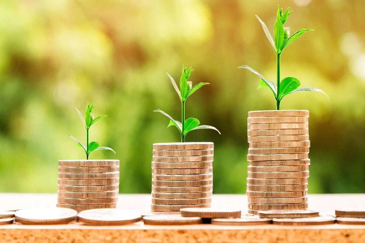 Distribuirea ajutorului financiar: Câți fermieri vor primi bani după intemperii
