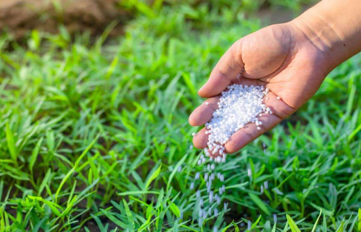 Как снизить непродуктивные потери азота в результате денитрификации