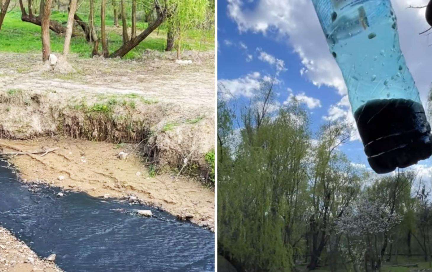 Râul din parcul Valea Trandafirilor – poluat. Ce au arătat probele prelevate