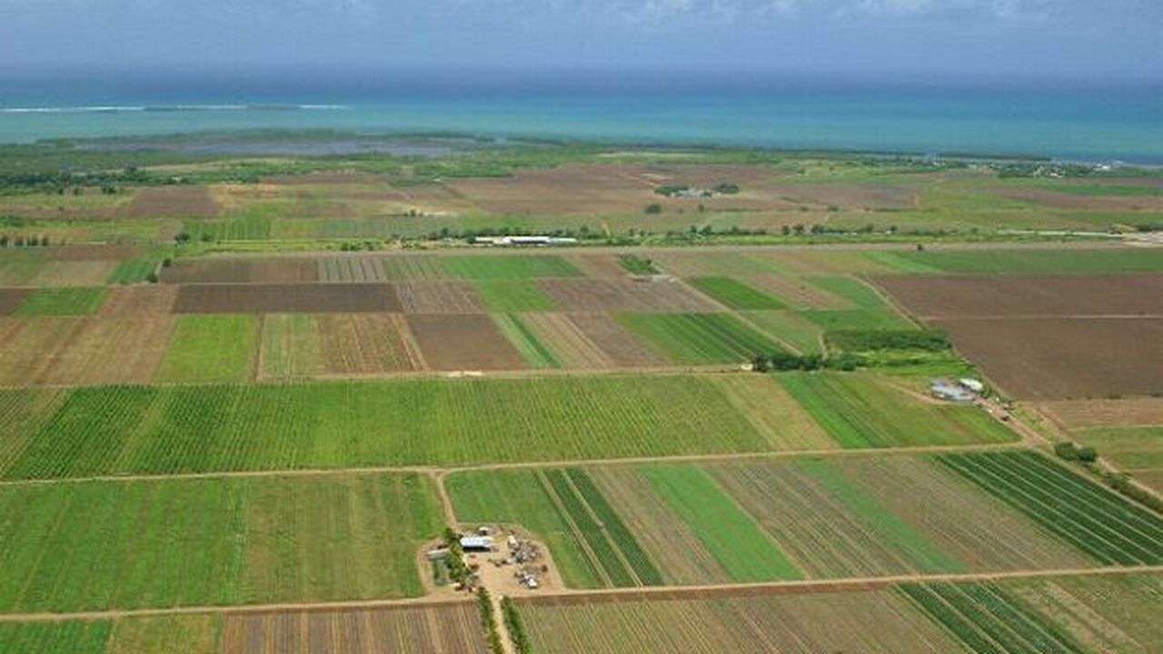 La ce preț se vând terenurile agricole în Ucraina