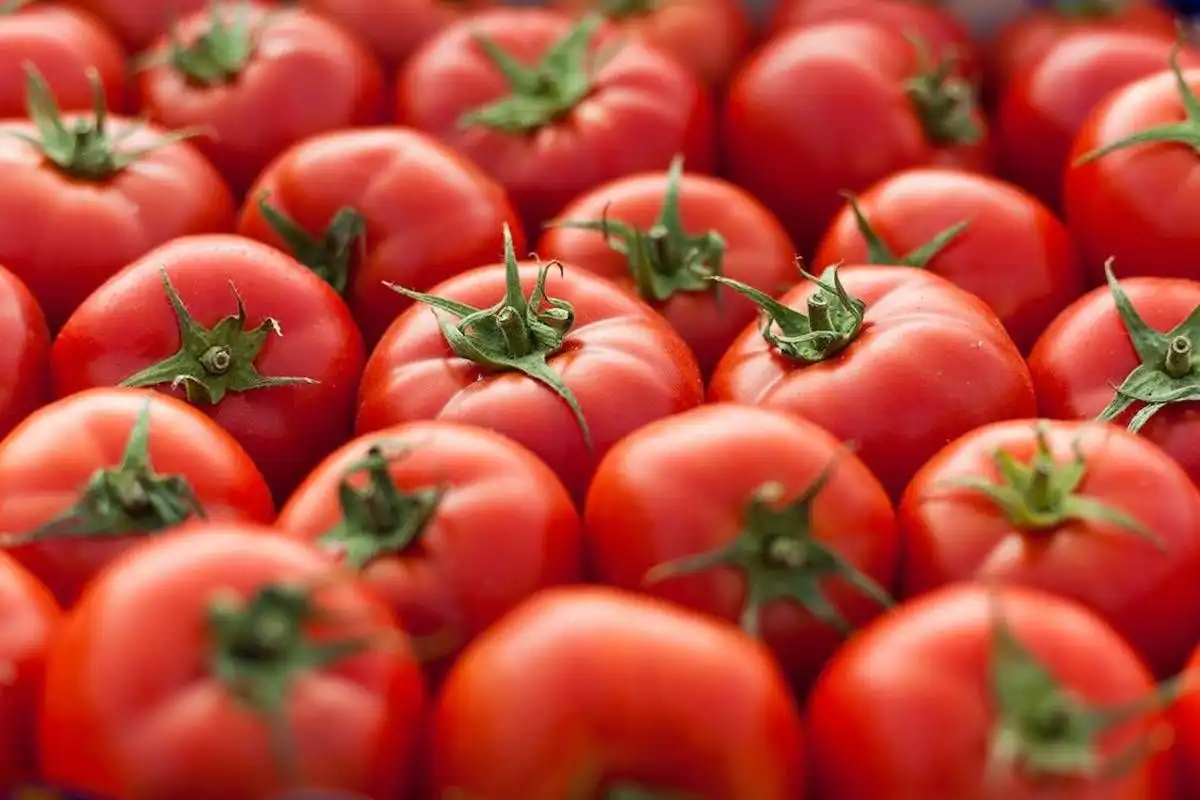 Наибольшую прибыль получает тот, кто реализует премиум-продукт и нашел свою нишу — Дмитрий Лившиц