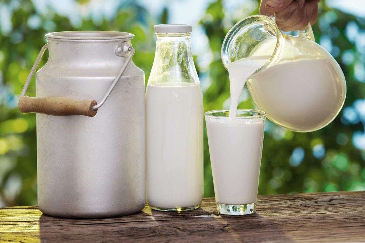 În 2023 a scăzut producția de lapte. De ce nu creşte preţul