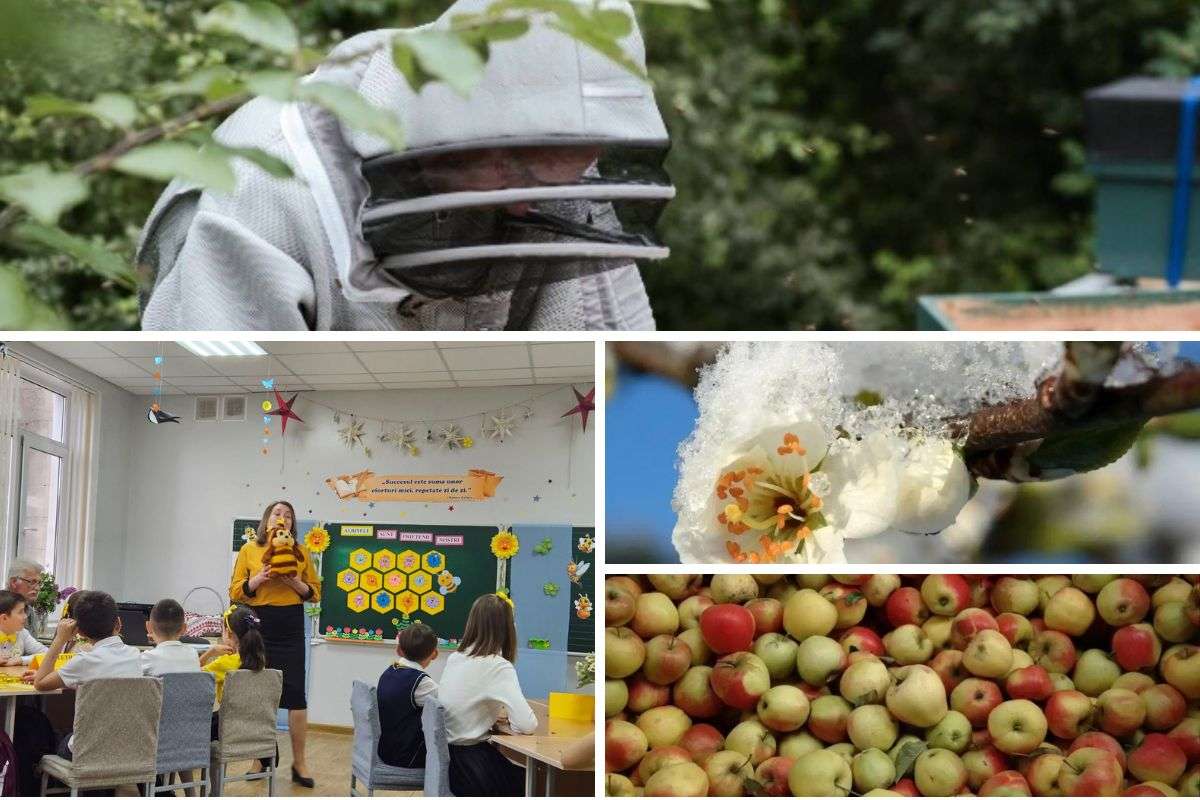 Selecția celor mai interesante știri din perioada 15 – 21 aprilie