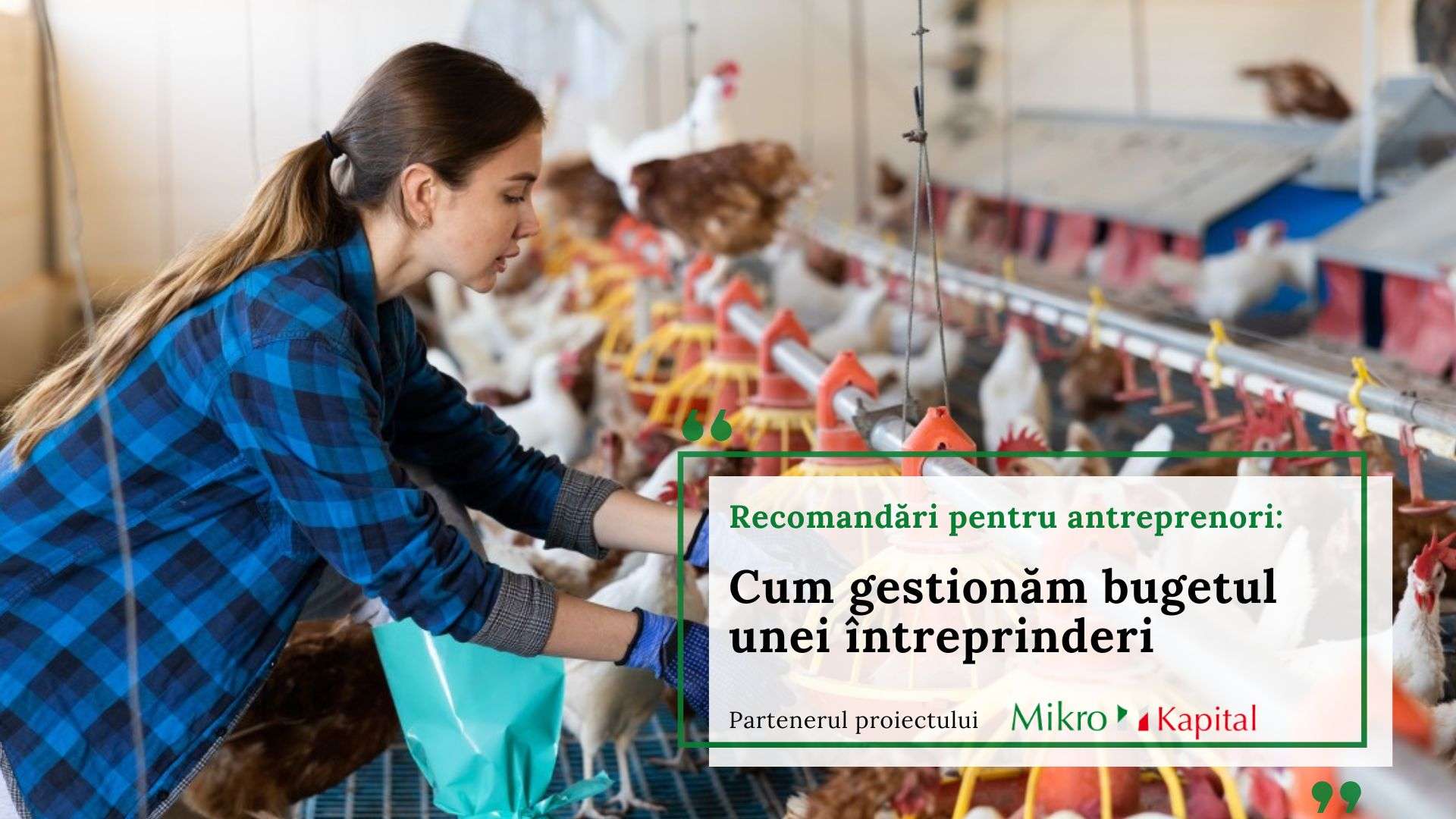 Cum gestionăm bugetul unei întreprinderi: Recomandări pentru antreprenori