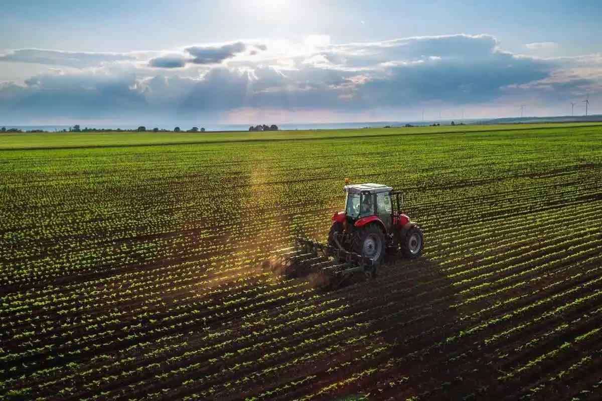 Fermierii critică crearea camerelor agricole și solicită consultări urgente