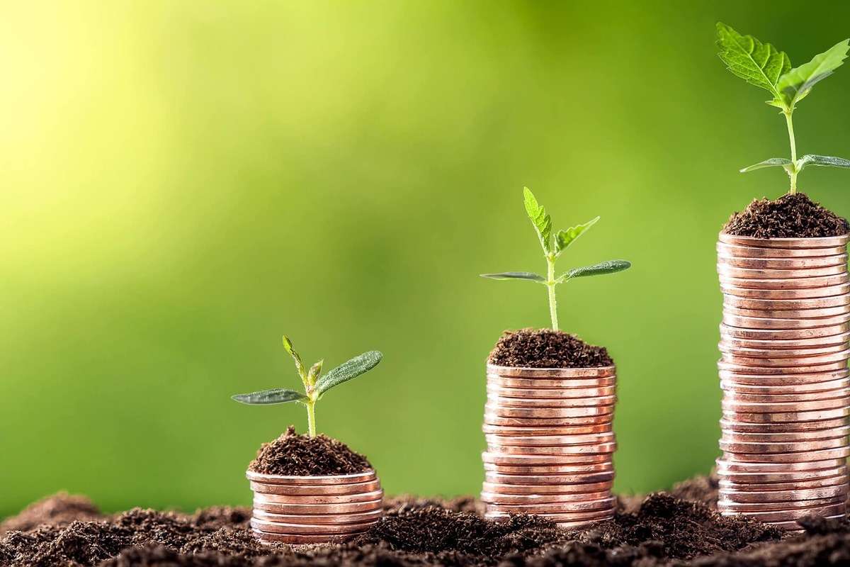 Produsul Capital Circulant: Câți agricultori au depus cereri