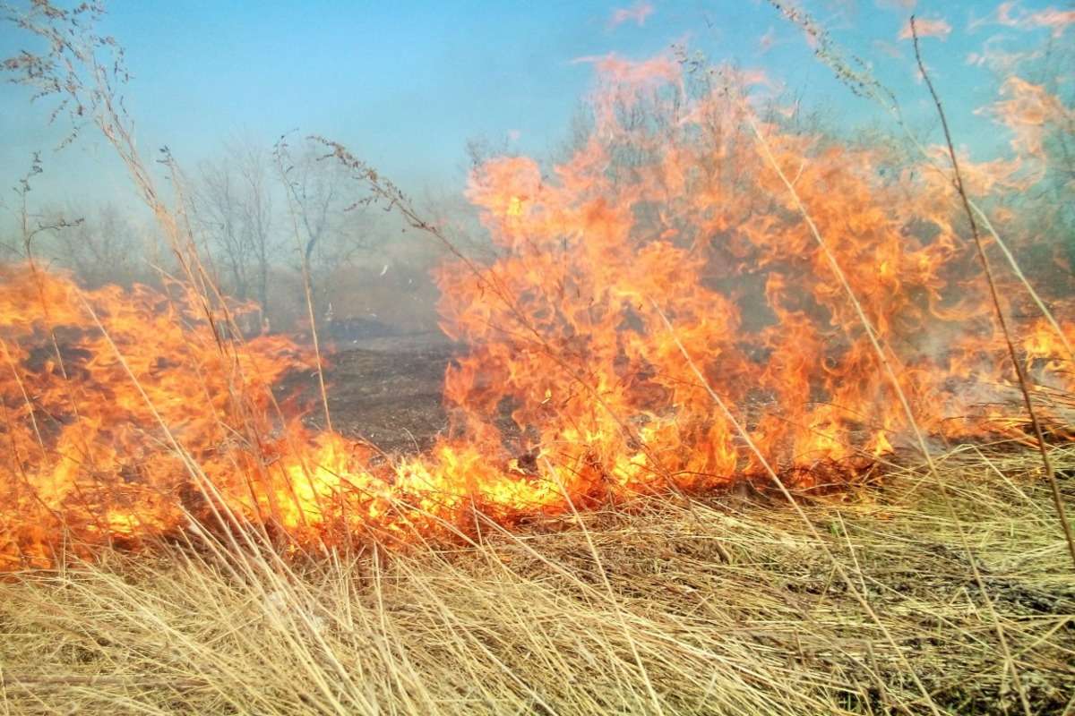 Peste 100 hectare de vegetație uscată, distruse de foc în trei zile