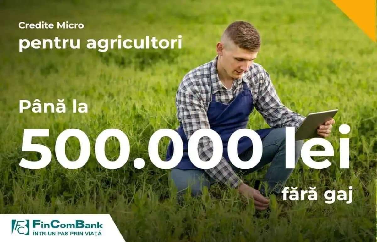 Кредиты MICRO без залога, до 500 000 лей