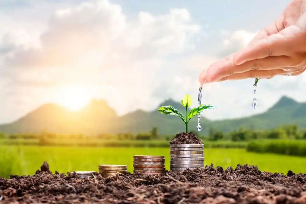 MAIA: Tot mai mulți agricultori beneficiază de subvenții
