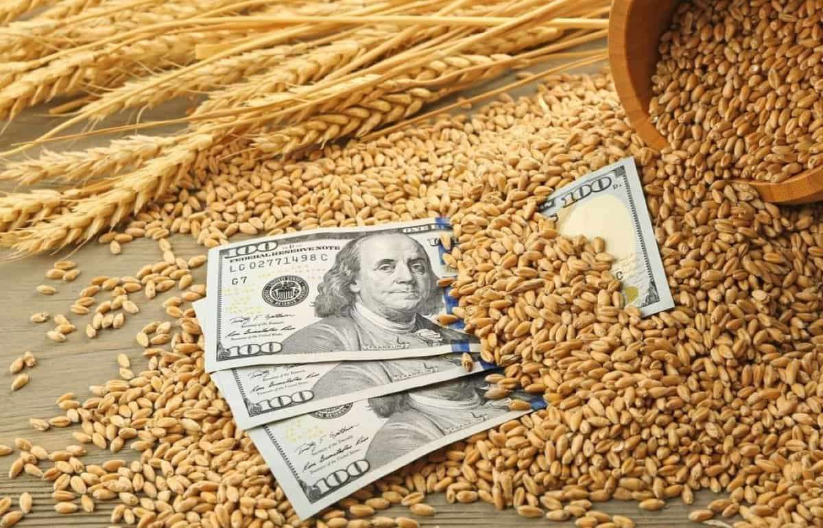 Последний тендер египетской GACS повысила цену российской пшеницы на 20$