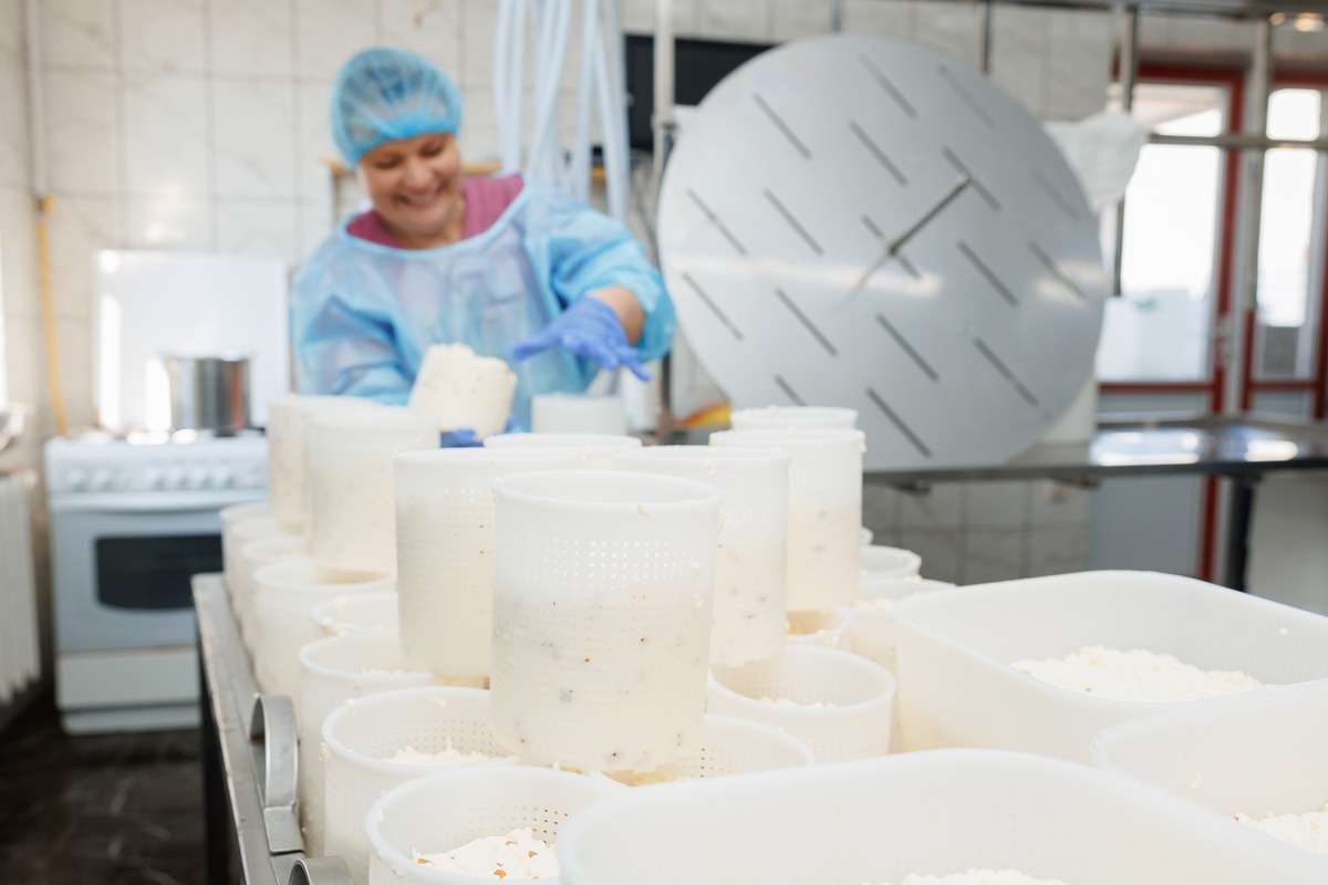 VIDEO | Povestea unui atelier de producție a cașcavalului artizanal