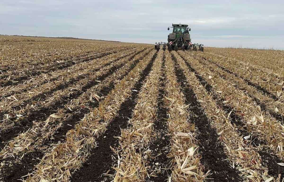 Мнение фермеров об основном недостатке технологии strip-till