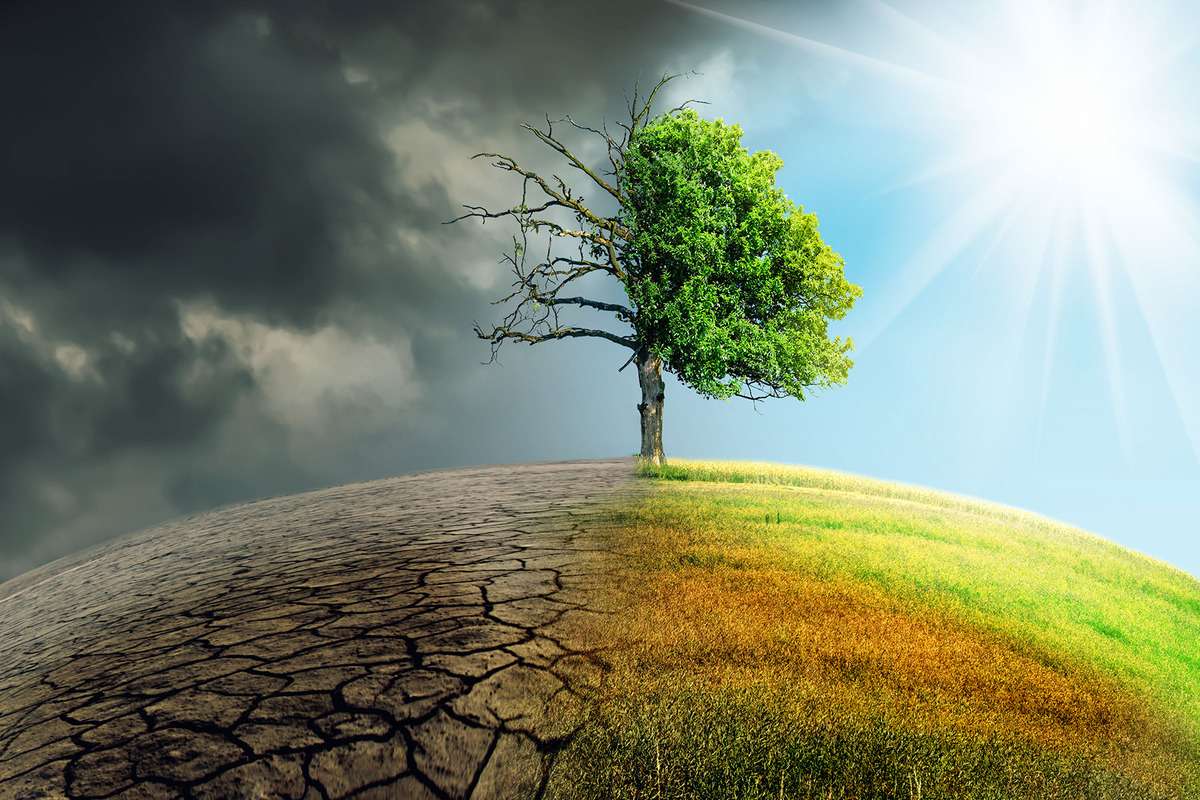 Agenția de Mediu: Schimbările climatice se resimt tot mai mult