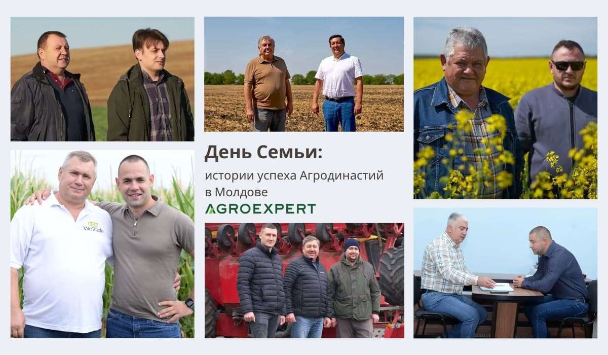 День Семьи: ретроспектива историй семейного агробизнеса в медиа-проекте Династии