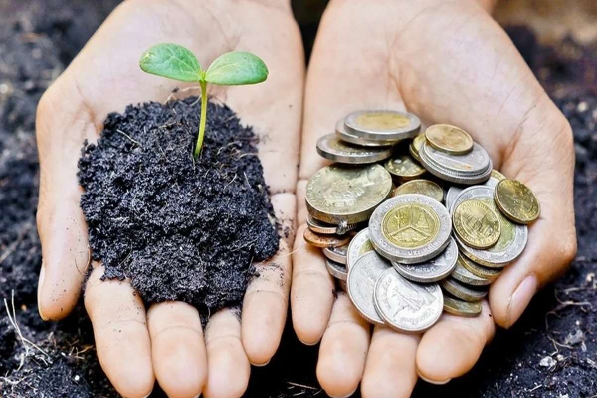Câte cereri pentru Creditul Agricol de Urgență au fost aprobate