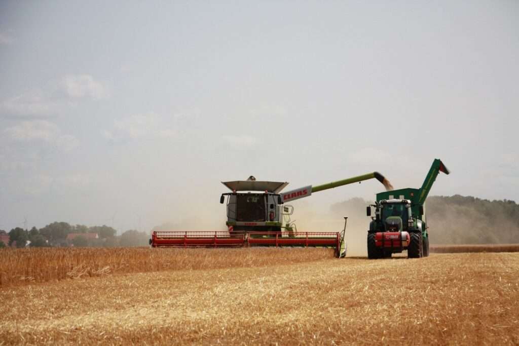 2024, an agricol foarte bun pentru România? Ce spune ministrul Barbu