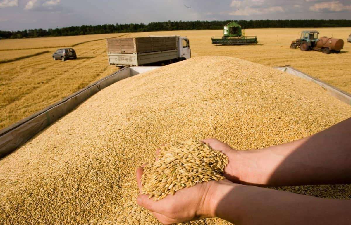 Евросоюз с июля ввел тарифы на импорт российской агропродукции