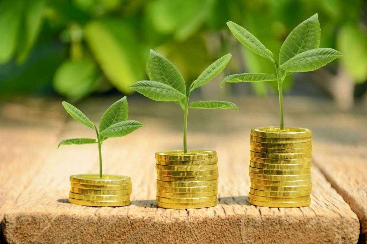 Aproape 300 de fermieri vor beneficia de Creditul Agricol de Urgență