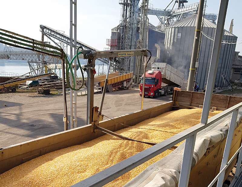 Un nou miliardar printre comercianţii români de cereale. Cât a obținut în 2023