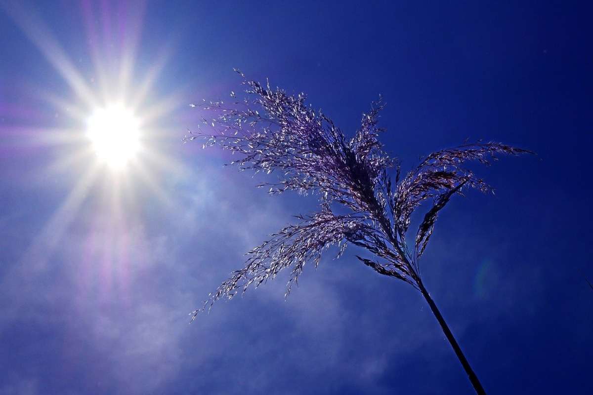 Ce temperaturi și precipitații se prevăd în iunie