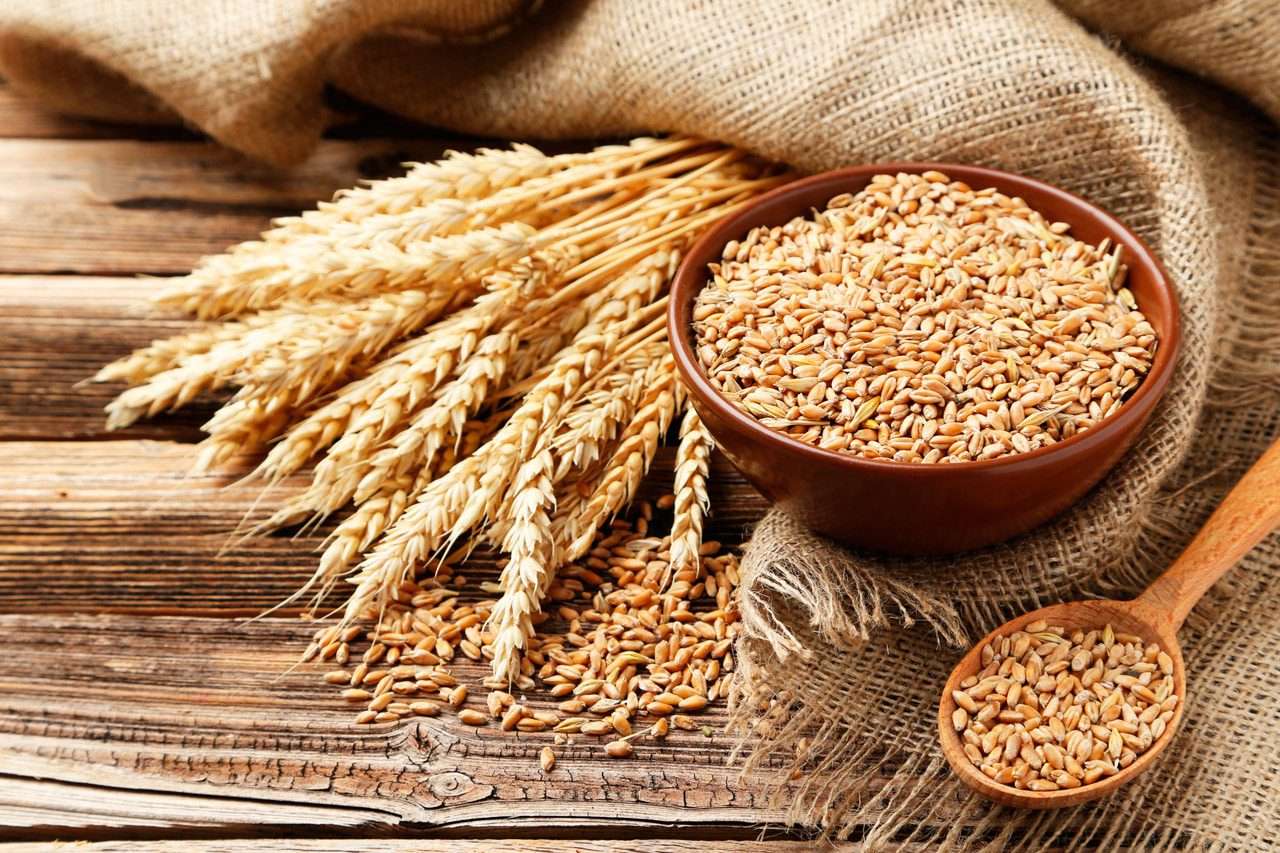 Rusia suspendă exporturile de cereale către UE