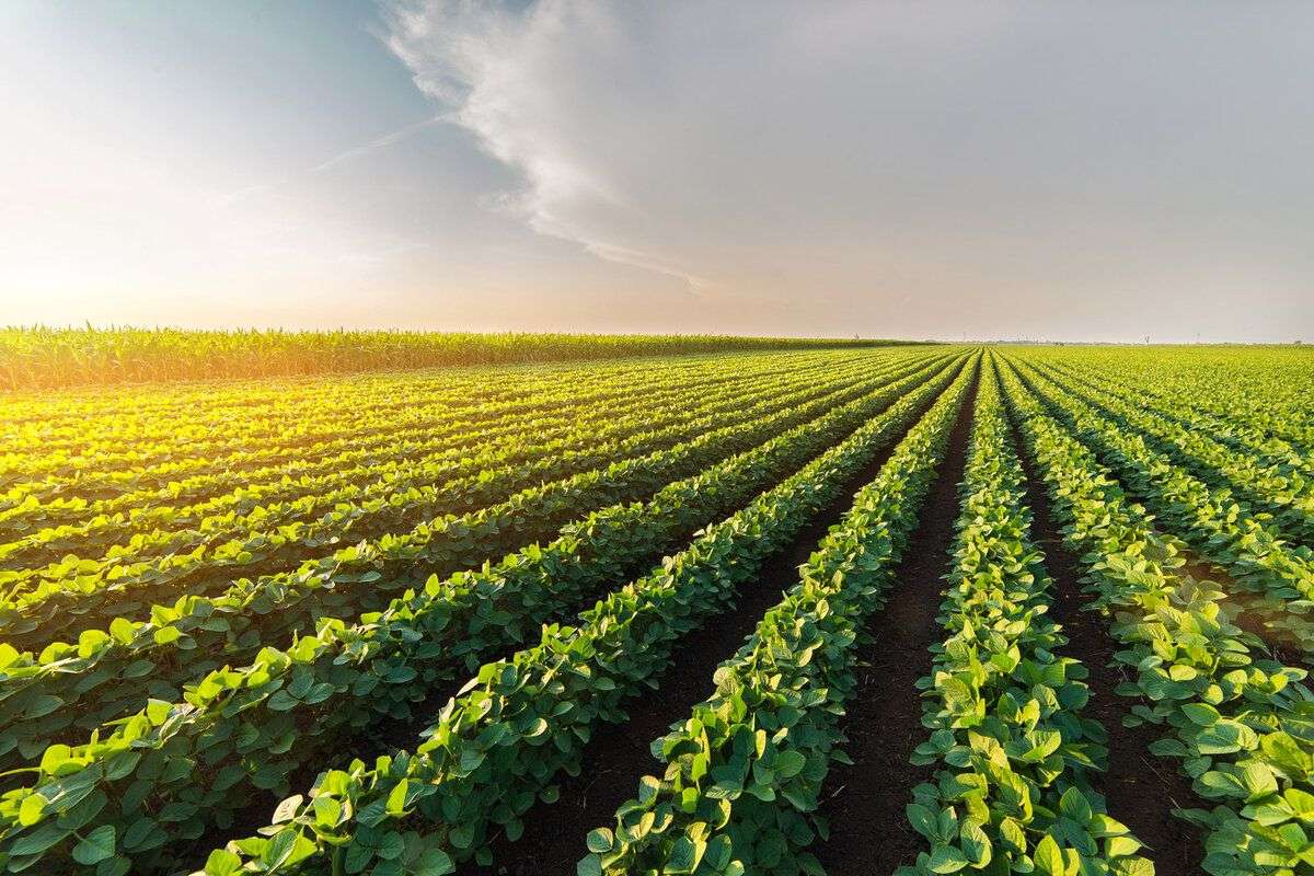 Fermierii moldoveni explorează Camerele Agricole din Austria