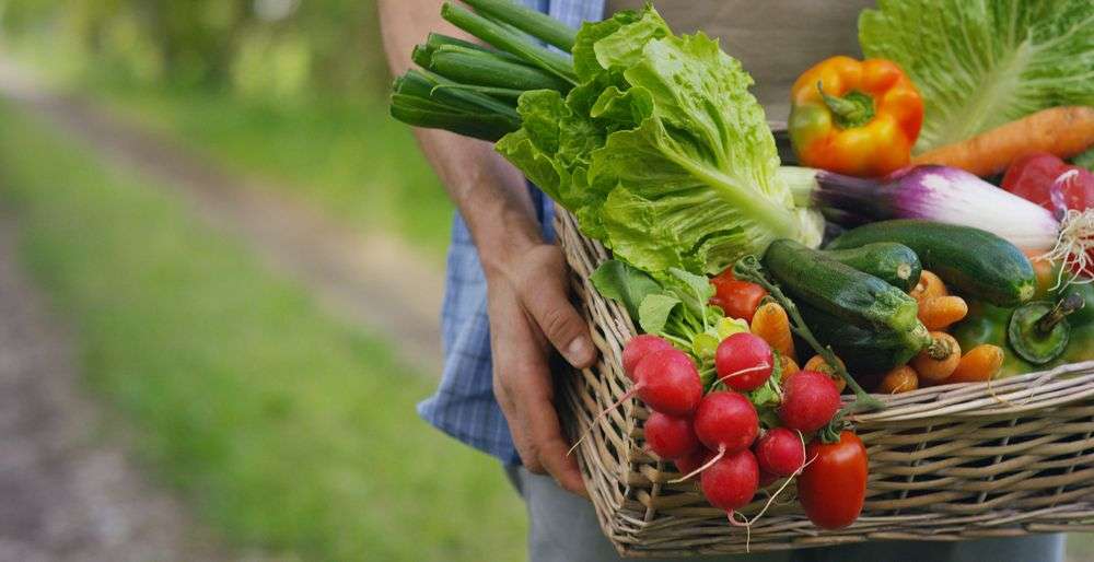Reformă în producția ecologică: MAIA va aproba lista produselor permise