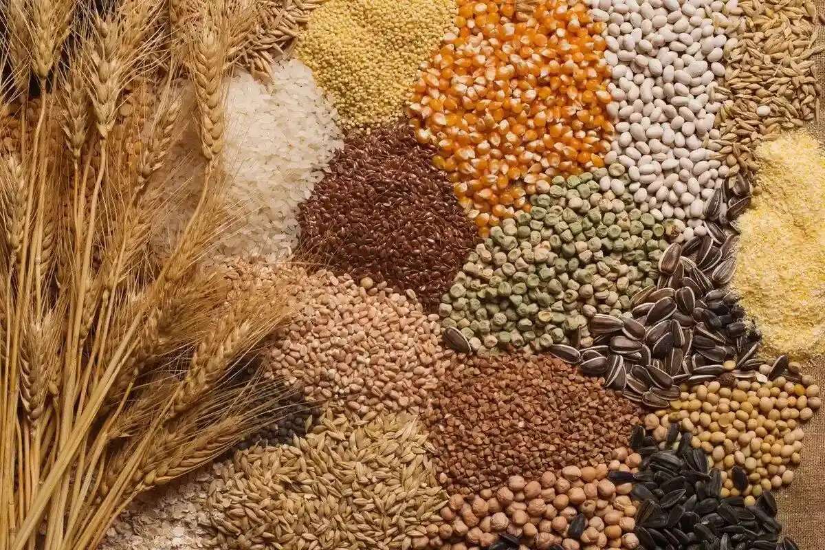 Slusari: Este necesară prelungirea restricționării importului de cereale