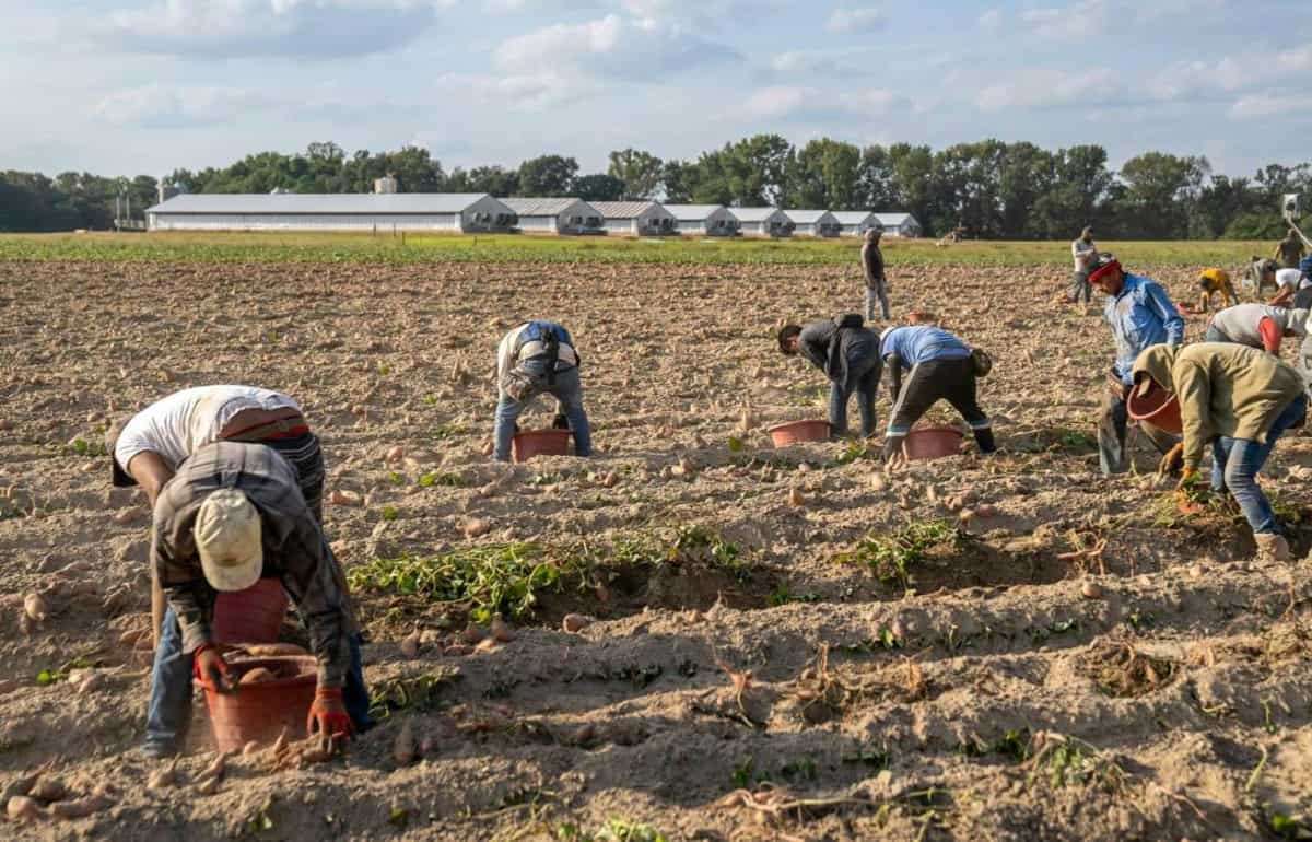 Zilierii. Particularitățile angajării, muncii și remunerării în Moldova în 2024