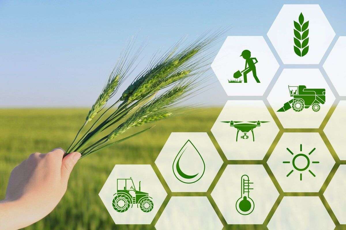 Infografic | Ziua Antreprenorului: Statistici despre activitatea ÎMM-urilor