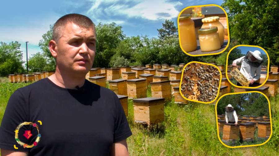 Video | A pus pe roate o afacere dulce: Afacerea lui Andrian Popa