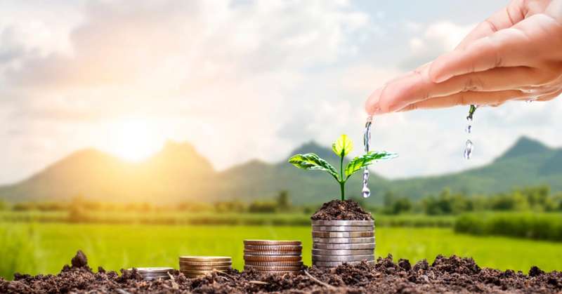 Ce transformări se anunță în Politica de subvenționare a agriculturii