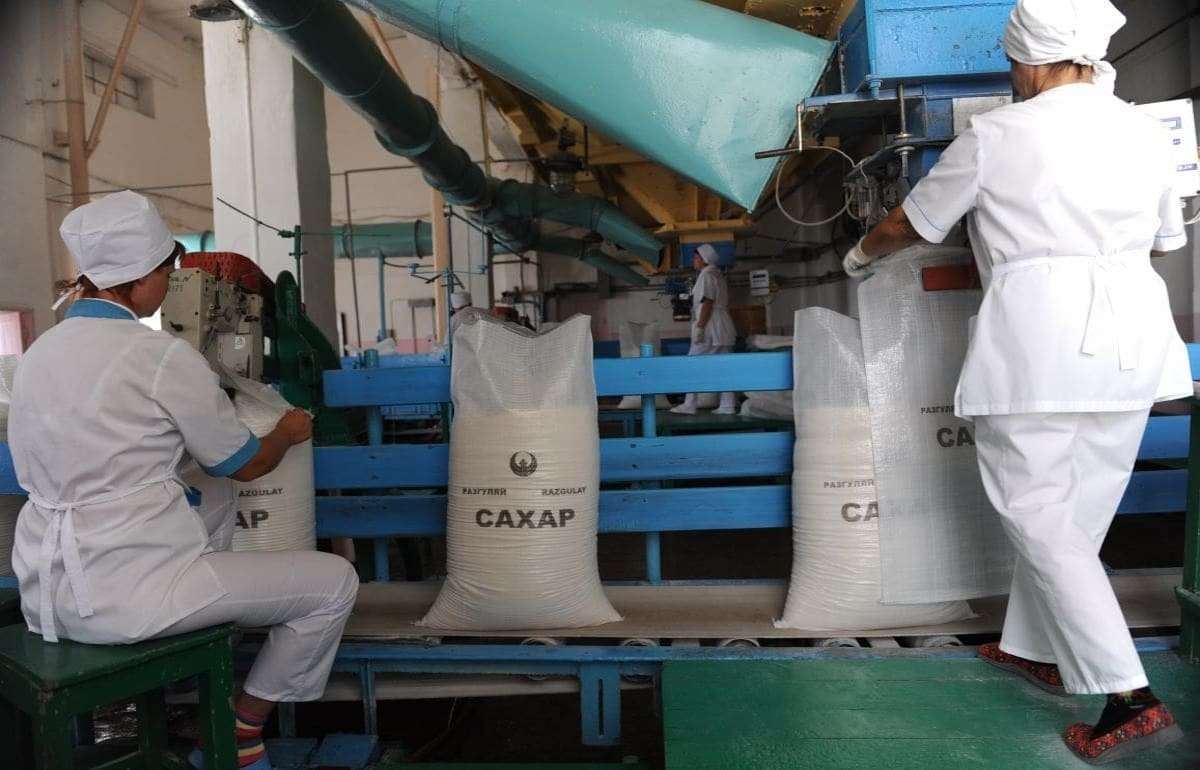 ФАО прогнозирует рост мирового производства сахара на 14%