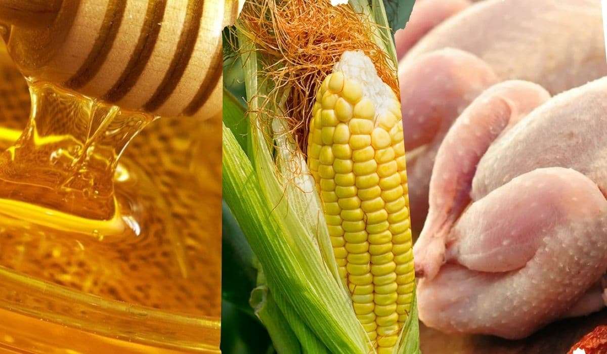 Евросоюз может ввести пошлины еще на три вида агропродукции из Украины