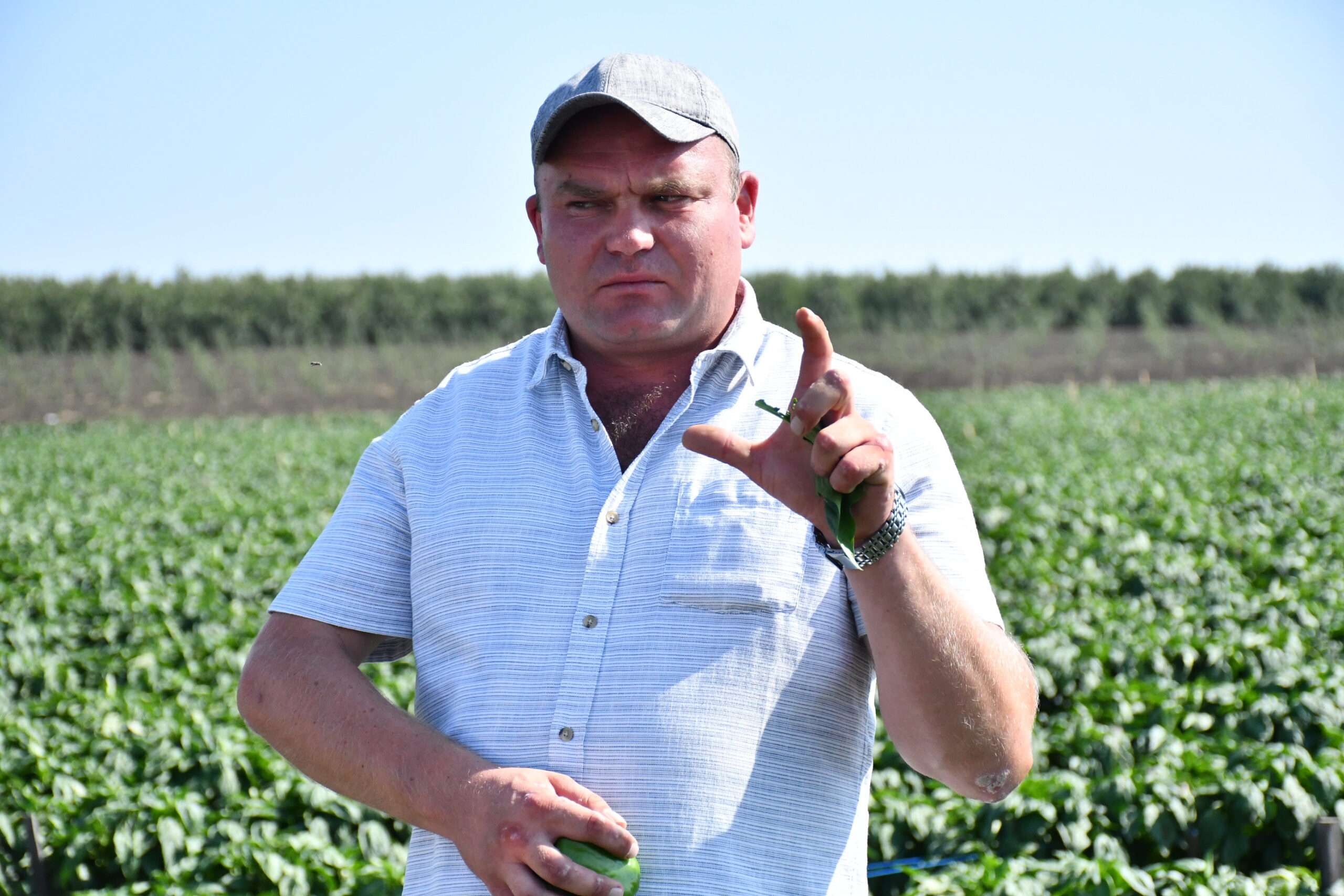 Video | Pe drumul agriculturii din Cunicea. Afacerea familiei Fedorciuc