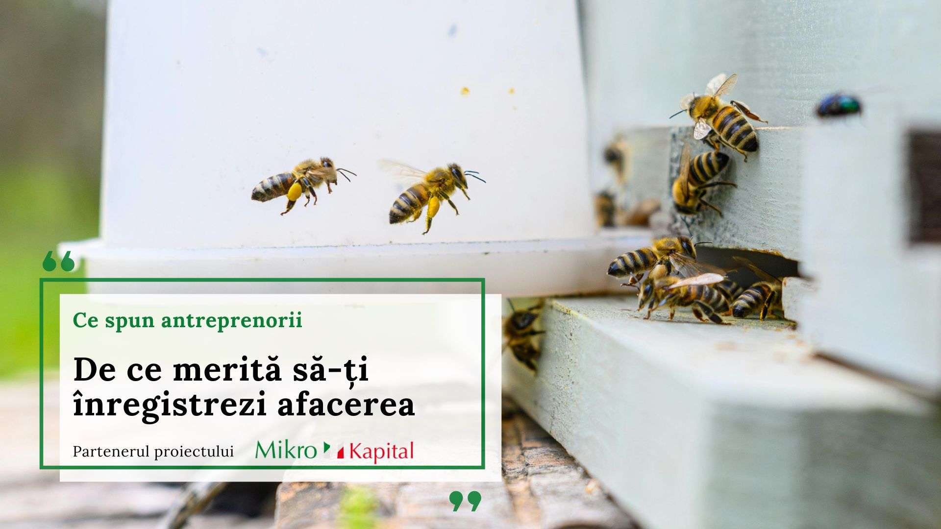 De ce să-ți înregistrezi afacerea. Ce spun antreprenorii