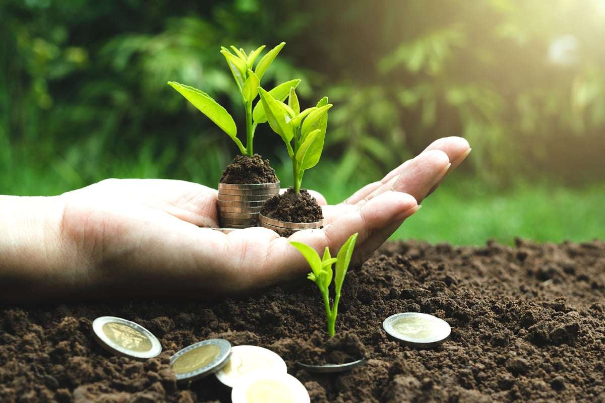 42 de companii vor primi granturi pentru dezvoltarea afacerilor