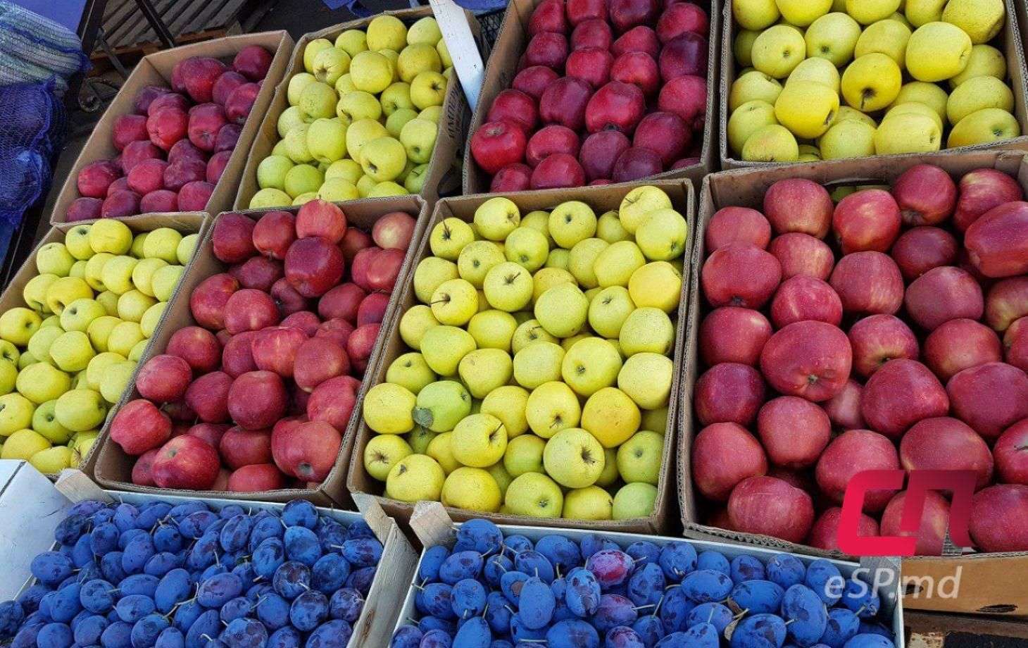 Cum pot horticultorii să se adapteze la cerințele pieței UE
