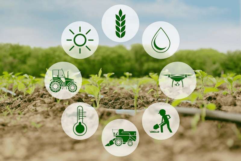 Rezultatele intermediare ale admiterii la specialitățile agricole