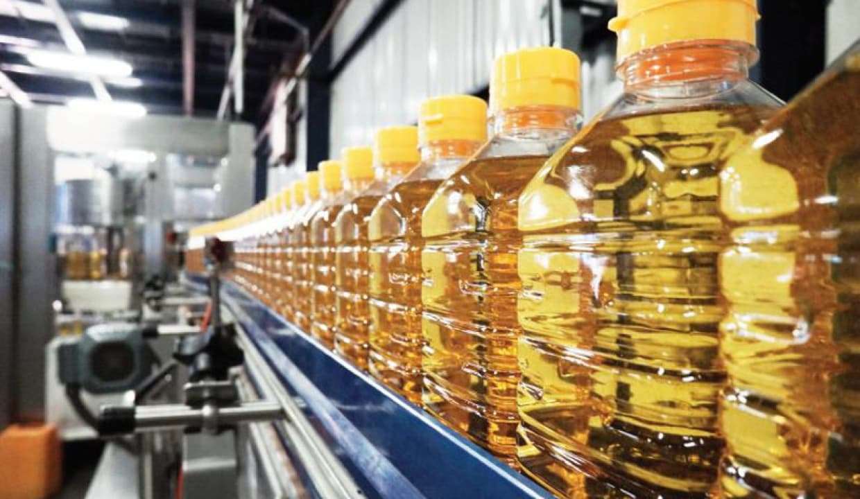 В РФ прогнозируется рост производства подсолнечного масла на 16-17%