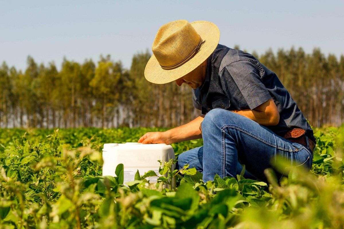 Deșeurile de ambalaje agricole, în creștere. Cum le gestionăm
