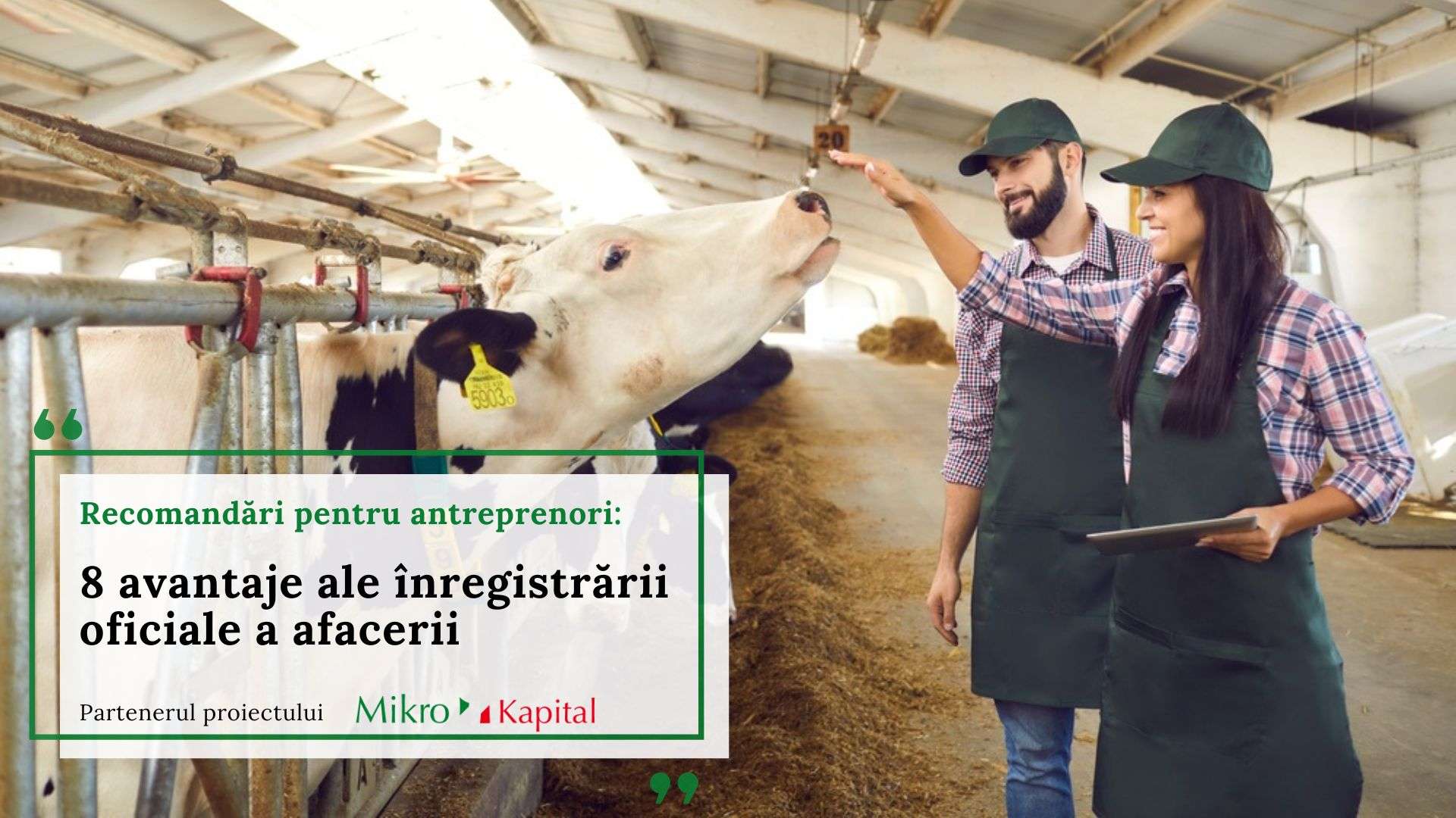 8 avantaje ale înregistrării oficiale a afacerii pentru fermieri