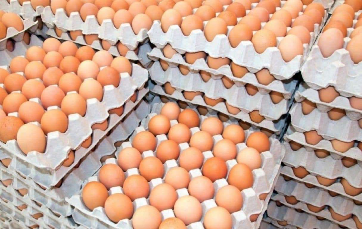 Болгария просит ЕС защитить ее производителей от украинских яиц