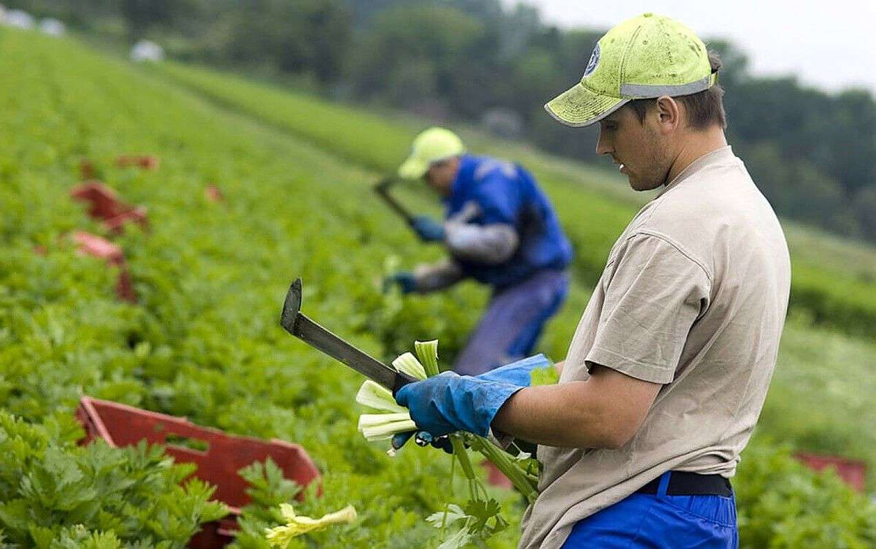 Agricultura – un domeniu solicitat: Câți au ales acest sector în 2024