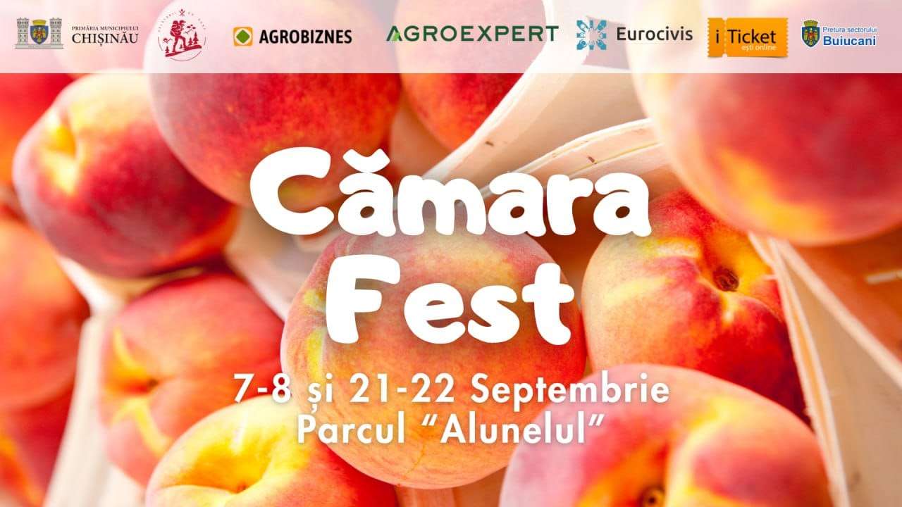 Răsfăț de toamnă: vinuri, cașcavaluri și alte delicii locale la Cămara Fest